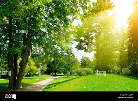 Bright Sunny Day In Park The Sun Rays Illuminate Green Grass And Trees