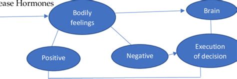 Model Depicting The Influence Of Emotion On Decision Making Download