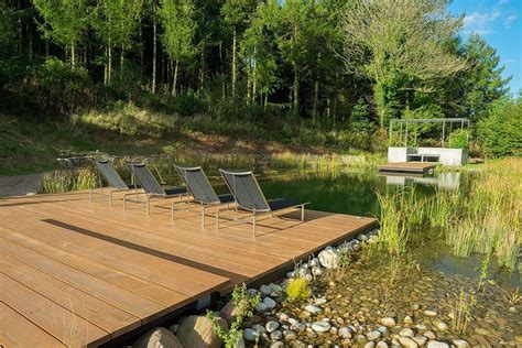 Schwimmen Im Teich Unterm Sternenhimmel Das Einfamilienhaus