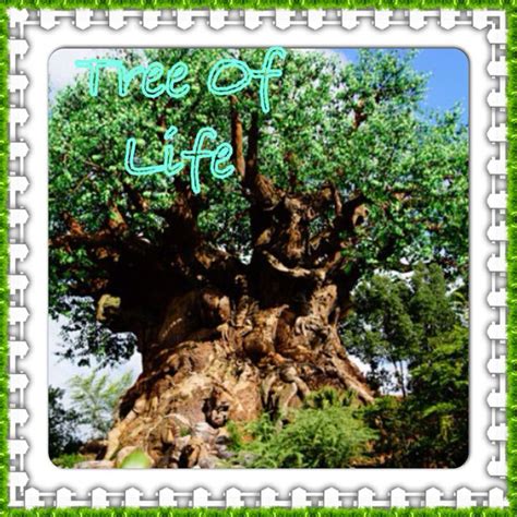 Tree Of Life Disney World | Tree of life, Disney world, Life