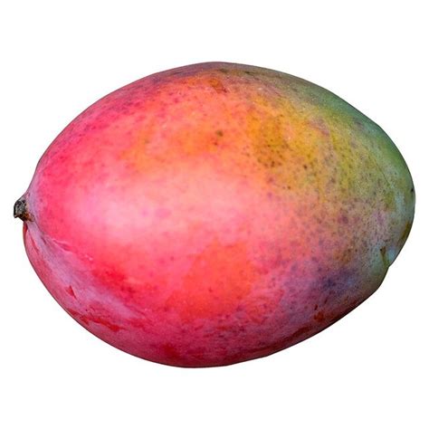 Natoora Spanish Tree Ripened Mango Ocado