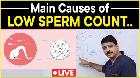 Main Causes Of Low Sperm Count In Men Boost Male Fertility Dr Rahul