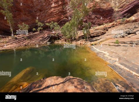 Popular Swimming Hole At Hamersley Gorge Karijini National Park