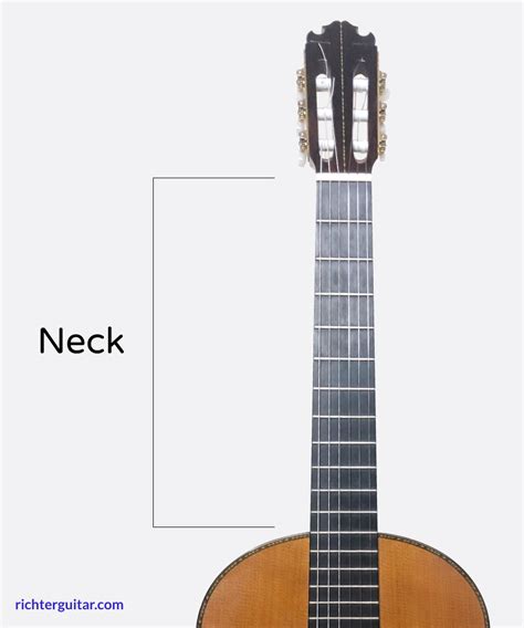 Parts Of The Classical Guitar The Definitive Guide