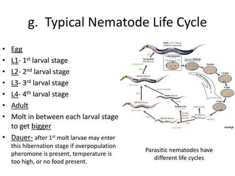 Ppt Journal 1 Powerpoint Presentation Id2014771