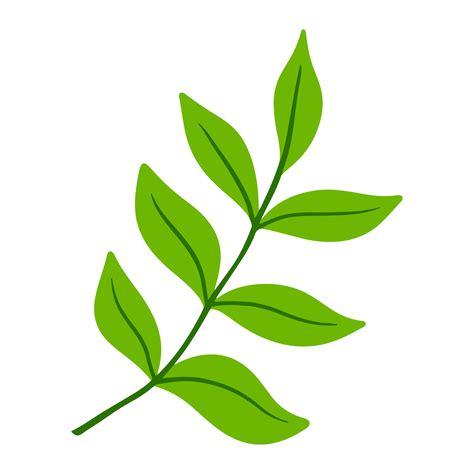 Tropical Leaf Illustration For Green Design Element Png