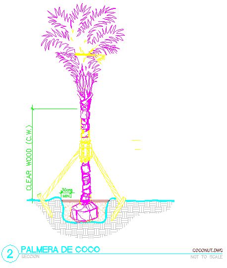 Coconut Palms Trees Plant Front View Elevation 2d Dwg Block For Autocad