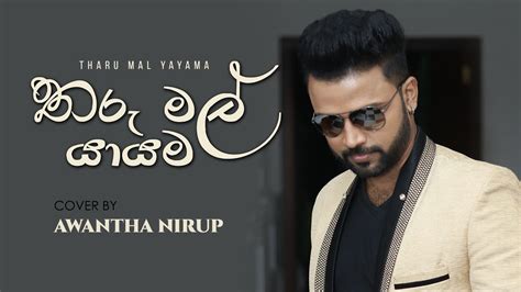 තරු මල් යායම Tharu Mal Yayama Cover By Awantha Nirup Youtube