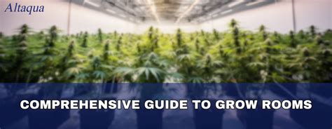 Comprehensive Guide To Grow Rooms Mastering Everything You Need For