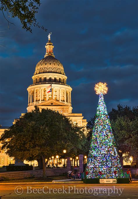 2025 Capitol Christmas Tree Emelda Bertina