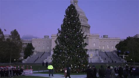 U S Capitol Christmas Tree Lighting