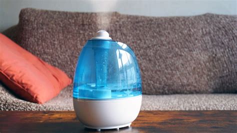 How To Clean A Humidifier And How Often First For Women