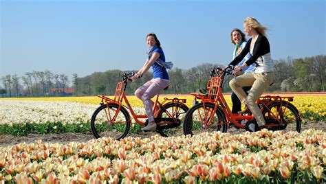 Rental Bike Keukenhof for sightseeing the flower fields