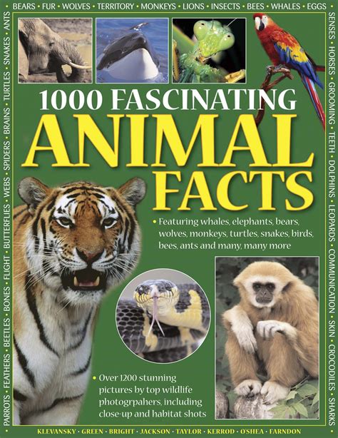 1000 Fascinating Animal Facts (covers marked from shop display) - Driftwood Books