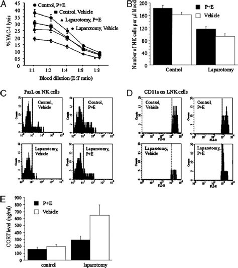 The Effects Of Laparotomy And Drug Administration On Immune And