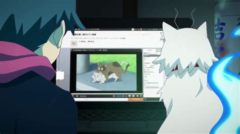 Mèo cũng xem hentai YouTube