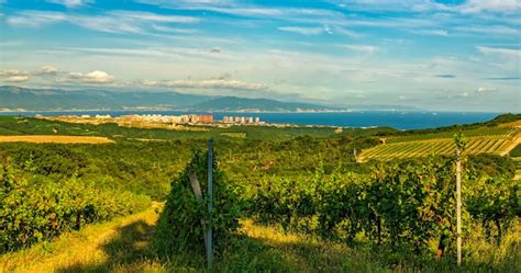 Premium Photo Panoramic View Of The City Of Novorossiysk Adjacent