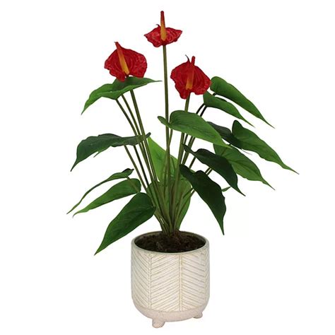 Sonoma Goods For Life® Red Anthurium Artificial Plant Floor Decor