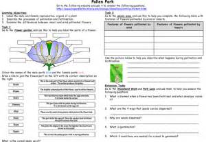 Web Activity Reproduction In Flowering Plants Teaching Resources