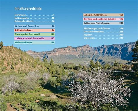 Flora der Kanarischen Inseln Naturführer von Rother