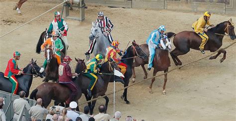 Palio Ecco I Cavalli Ammessi Alle Prove Di Notte Del E Giugno