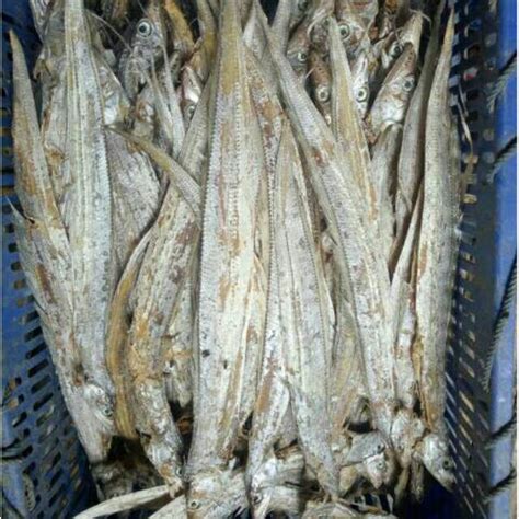 Jual Ikan Asin Layur Ukuran Besar Sedang 500gr Shopee Indonesia