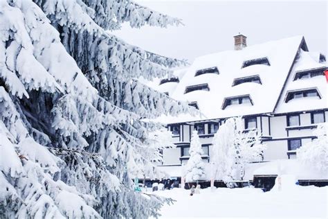 Winter In Kopaonik White Mountains Winter Serbia