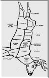 Deer Charts Ii Cutting Charts For Venison