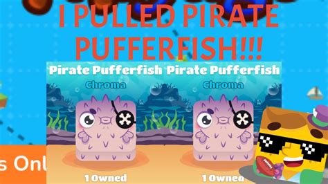 I Pulled Pirate Puffer Fish And Blackbeard Best Blooket Pack