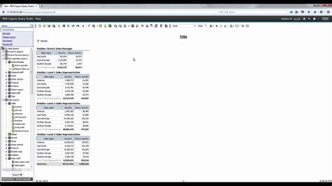 IBM Cognos Query Studio Training Prompting And Calculations 3 5