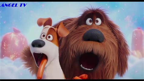 Max And Duke Sausage Party The Secret Life Of Pets Angel Tv 🎥 Youtube