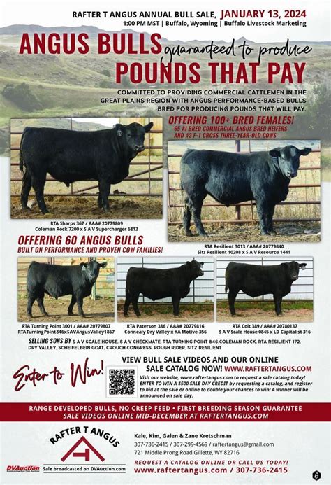 Rafter T Angus Annual Bull Sale Buffalo Livestock Marketing January