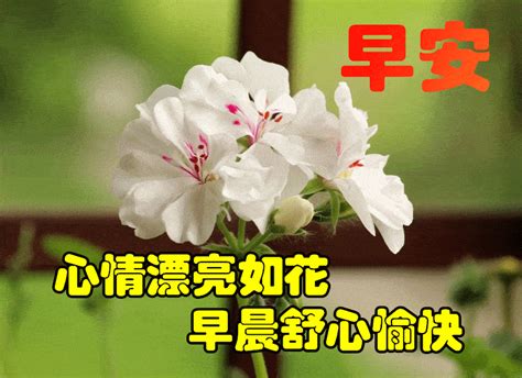 清晨早晨好深深的祝福语图片带字，最美早晨好图片动态表情问候朋友阳光