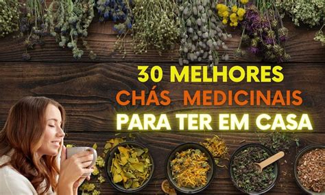 Chá Medicinal 30 opções poderosas para ter sempre em casa SaúdeLab