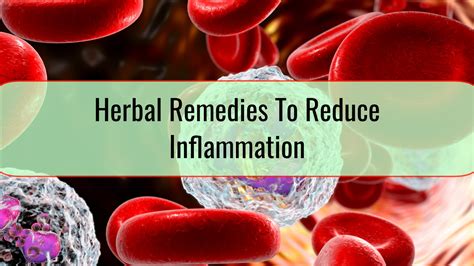 Herbal Remedies To Reduce Inflammation • Health Annotation