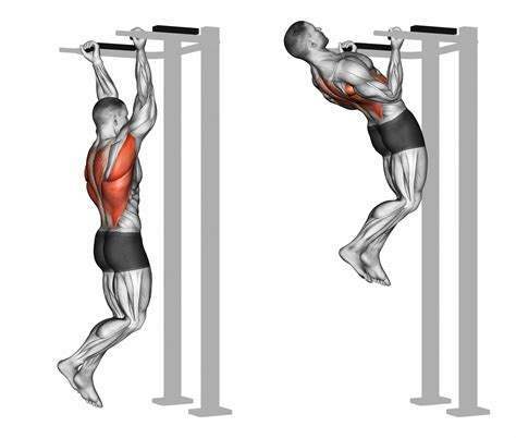 Supinated Lat Pulldown (Reverse Grip) Benefits & Proper Form – An Tâm