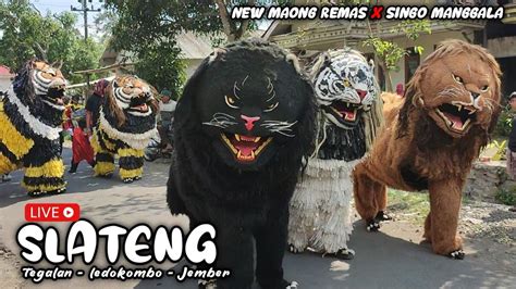 FULL New Maong Remas Singo Manggala Tampil Di TEGALAN SLATENG