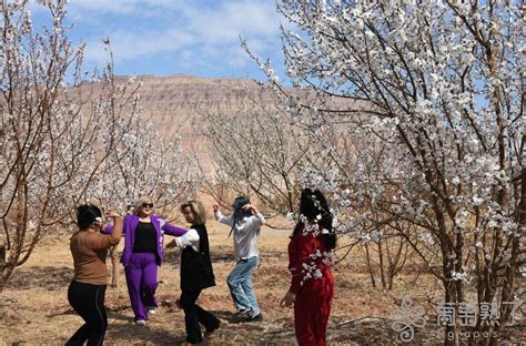 【图说吐鲁番】火焰山下花正艳