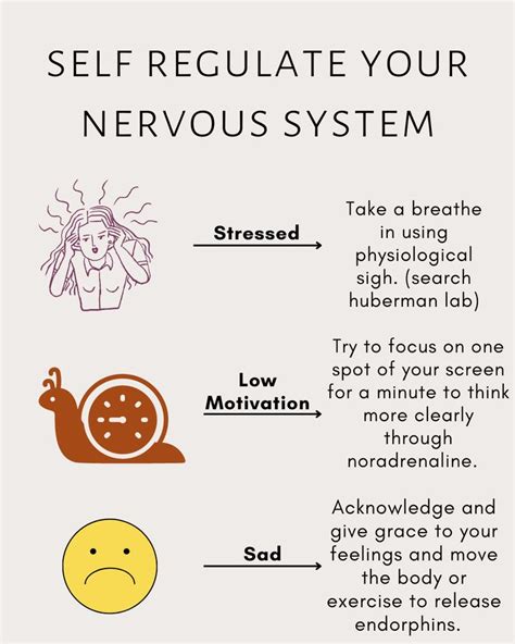 Boost Your Well Being With Nervous System Regulation