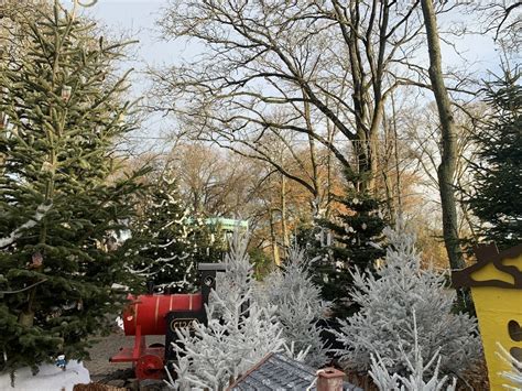 Châteaubriant où et quand jeter son sapin de Noël après les fêtes