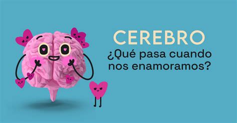 Semana Mundial Del Cerebro ¿qué Pasa Cuando Nos Enamoramos