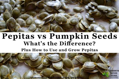 Pepitas Vs Pumpkin Seeds Plus How To Use And Grow Pepitas