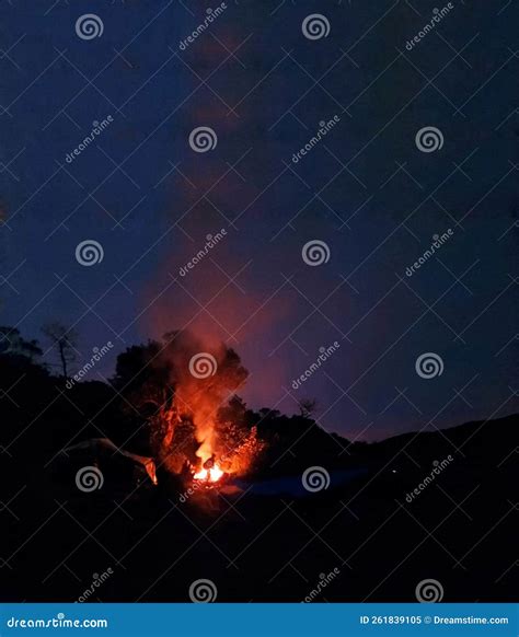 Fire in the Forest To Night with Sky Light Stock Image - Image of ...