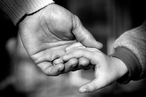 Premium Photo Father And Son Hands Holding Each Other Love And Care