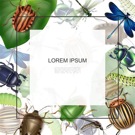 Insect templates Images - Free Download on Freepik