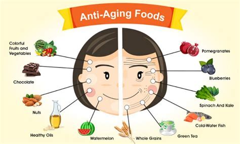 Top Anti Aging Foods Everyone Over 40 Must Eat 360 Guaranty Anti