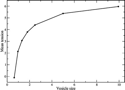 Membrane Tension As A Function Of The Vesicle Size Numerical Values R