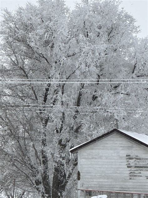 Frosty Day SkySpy Photos Images Video