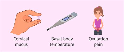 Signs of fertility in females