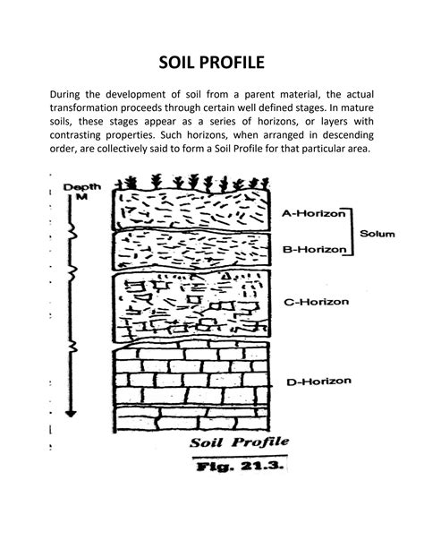 Solution Soil Profile Studypool